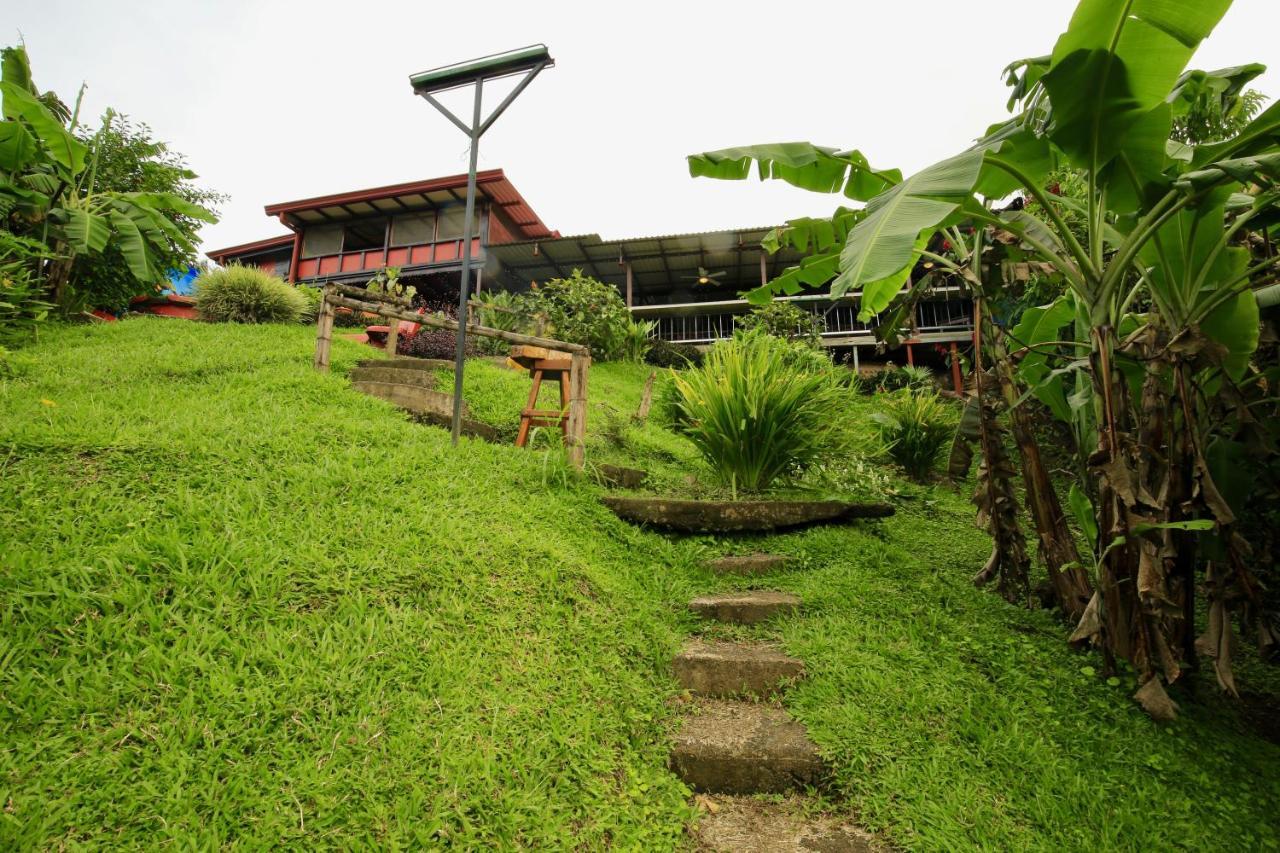 Toucan Lane Hotel And Restaurant Nuevo Arenal Exterior foto